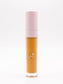 CONCEALER